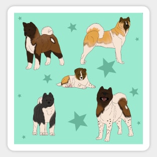 Akita American Pattern Seafoam Sticker